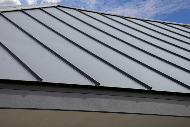 Best Gutter Installation and Repair  in Brandon, MS