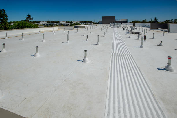 Best Asphalt Shingle Roofing  in Brandon, MS